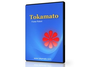 Tokamato 300x225 - Tokamato